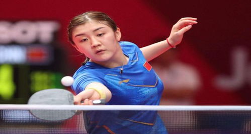 引援成功案 引援成功案